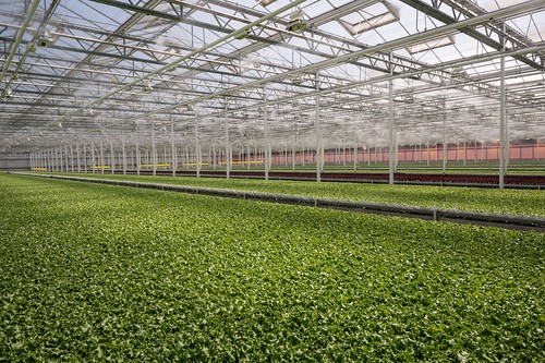 Little Leaf Farm Tour 2026