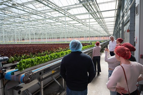 Little Leaf Farm Tour 2026