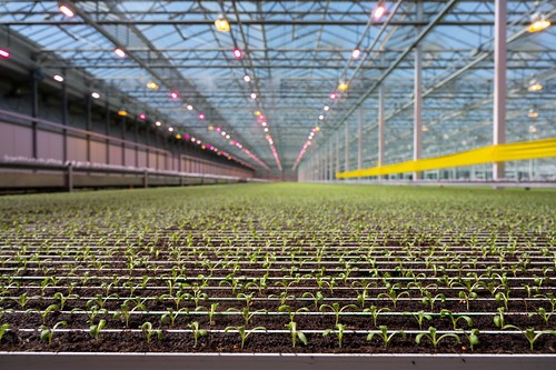 Little Leaf Farm Tour 2026